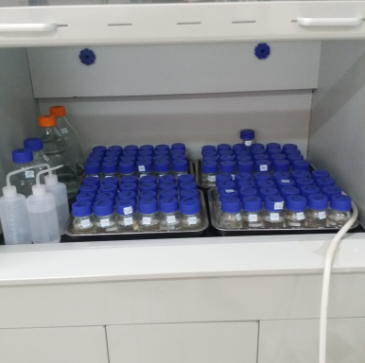 1482479177136225.png 2222.png