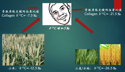 С���㻹��С���㣿����С�����й�������ʳ�е��ƹ�ʷ 111175.png