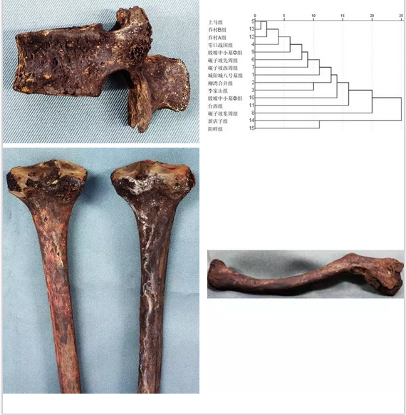 1484896946299070.png 微信截图_20170120152212.png