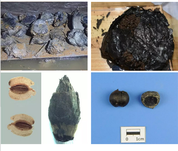 1484897616327471.jpg g.jpg