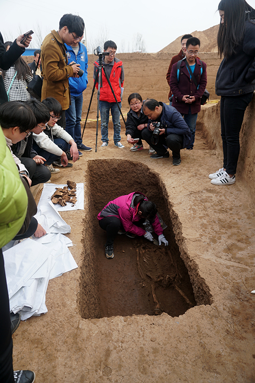 1489999058108255.jpg 孙2.jpg