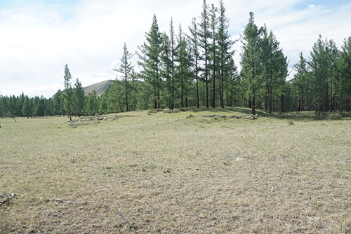 1500454915790622.jpg 88.jpg