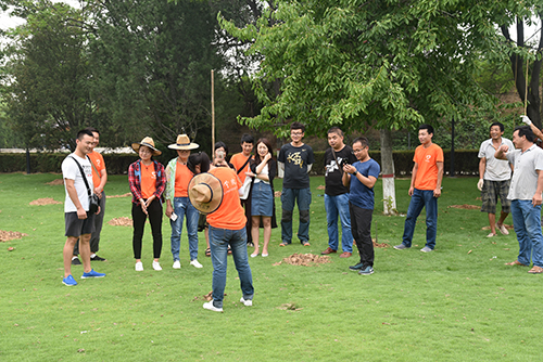 1501239825800391.jpg 3.jpg