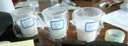 1506072300129013.jpg ͼƬ6.jpg