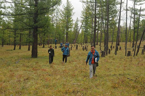 1506145226506010.jpg 5.