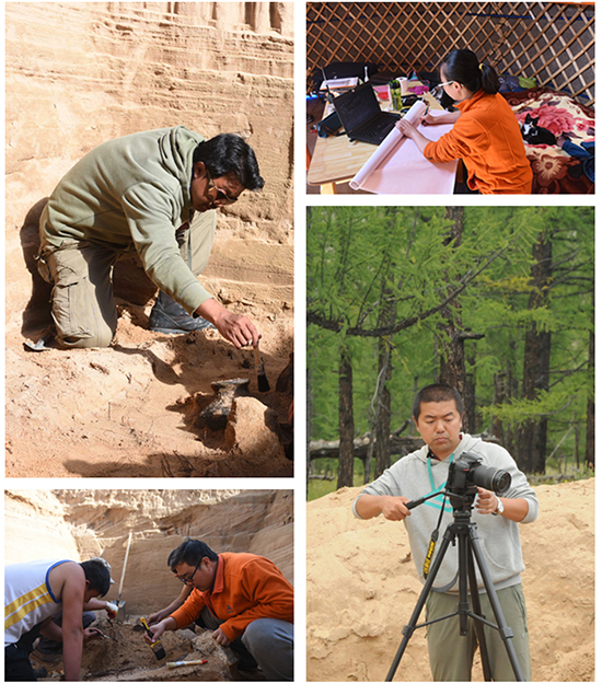 1506145253264043.jpg 13.jpg