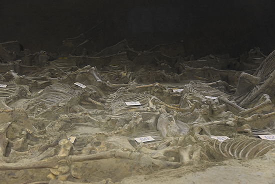 1508390311401056.jpg 3.jpg