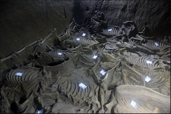 1508390341788600.png 4.png