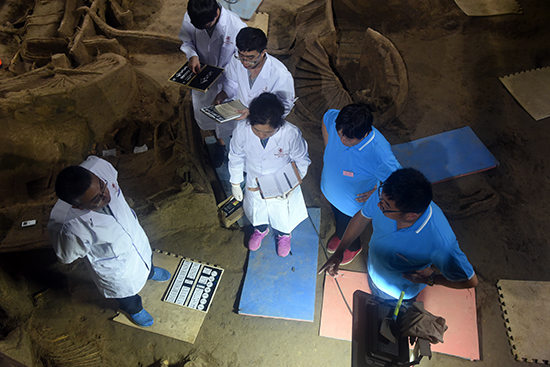 1508390416142220.jpg 8.jpg