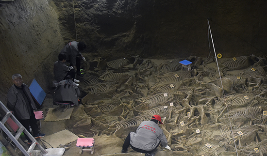 1508390513929787.jpg 1.jpg