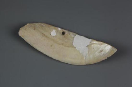 1534148234126530.jpg QQ