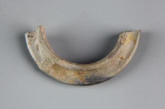 1534148358119869.jpg QQ