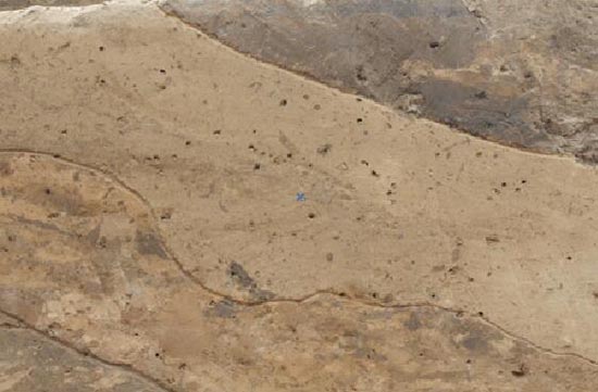 1534148412718759.jpg QQ