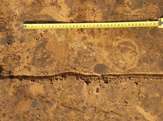 1534148493124521.jpg QQ