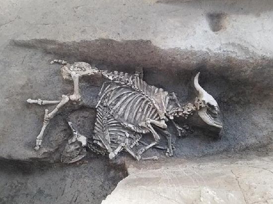 1534212768121685.jpg QQ