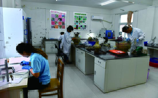 1534212813684936.jpg ƽ