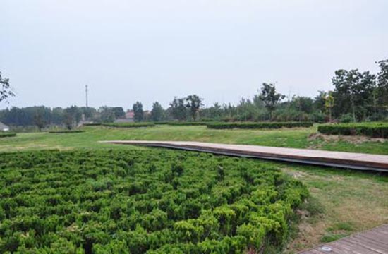 1534385653101959.jpg QQ