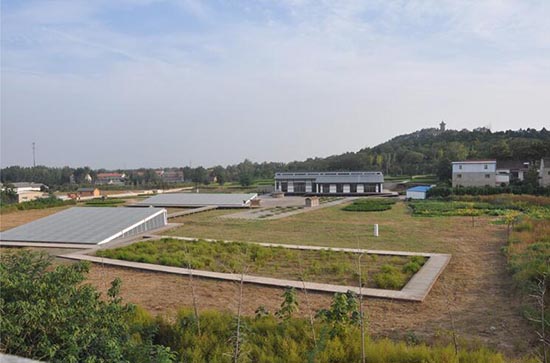 1534385678908357.jpg QQ