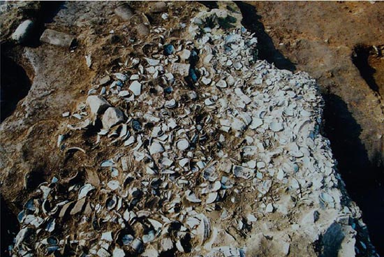 1536139648134784.jpg QQ