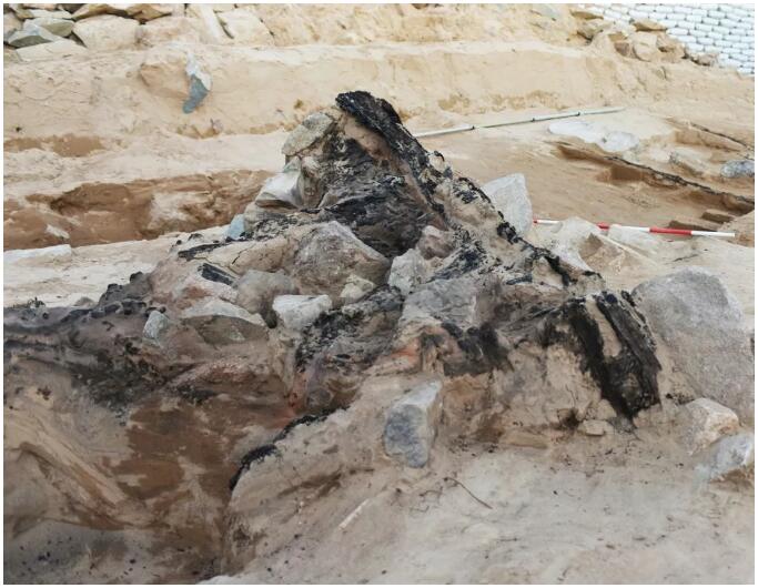 1536654731889897.jpg 10.jpg