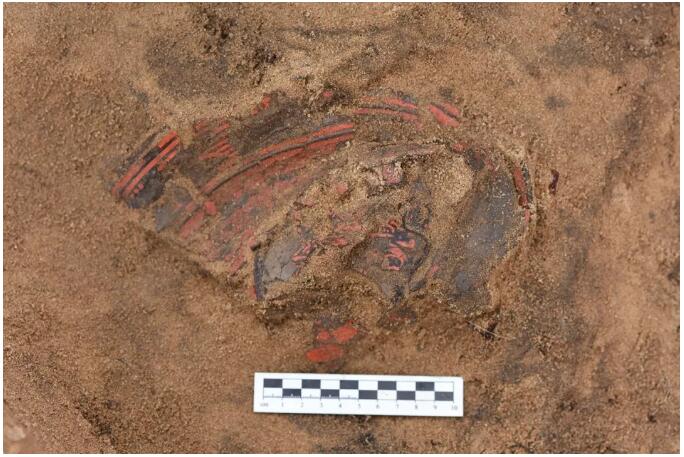 1536654822561564.jpg 12.jpg