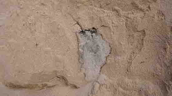 1539743273729905.jpg ͼ1. Ĺ