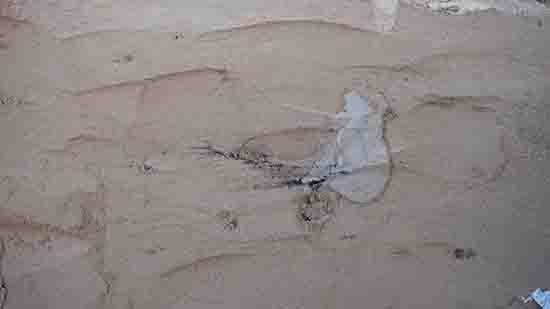 1539743285124439.jpg ͼ1. Ĺ