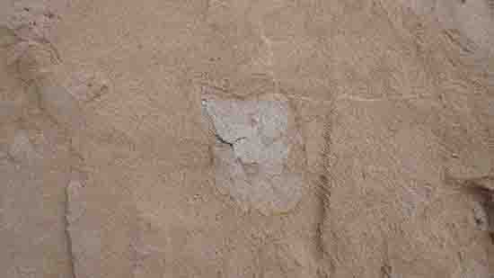 1539743294985858.jpg ͼ1. Ĺ