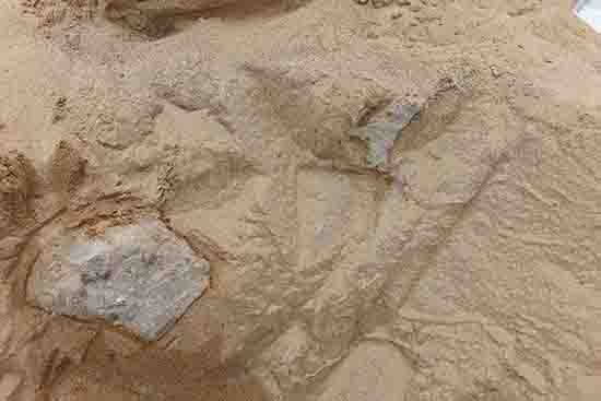 1539743394312410.jpg ͼ2-1