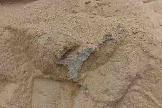 1539743400849447.jpg ͼ2-2 Һ