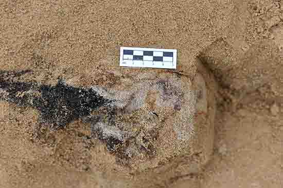 1539743500599088.jpg ͼ3-2.