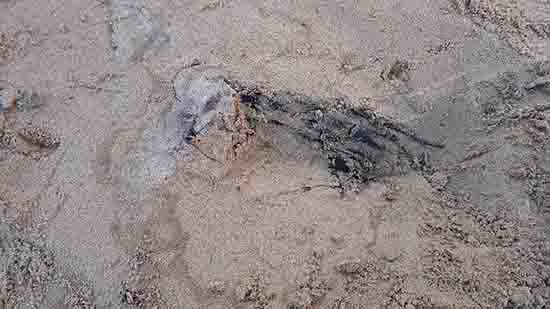 1539743509107966.jpg ͼ4.