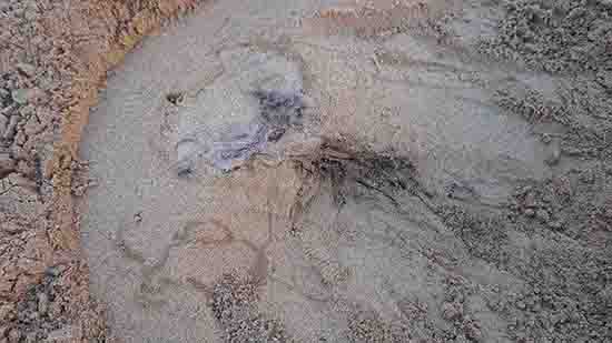 1539743515179442.jpg ͼ4.