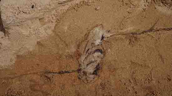 1539743536878752.jpg ͼ4.