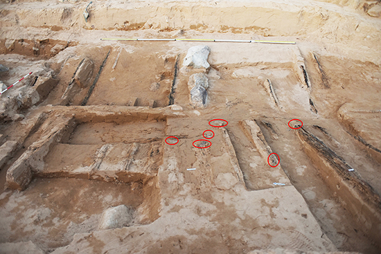 1539743778486818.jpg ͼ5-1 ľͷ