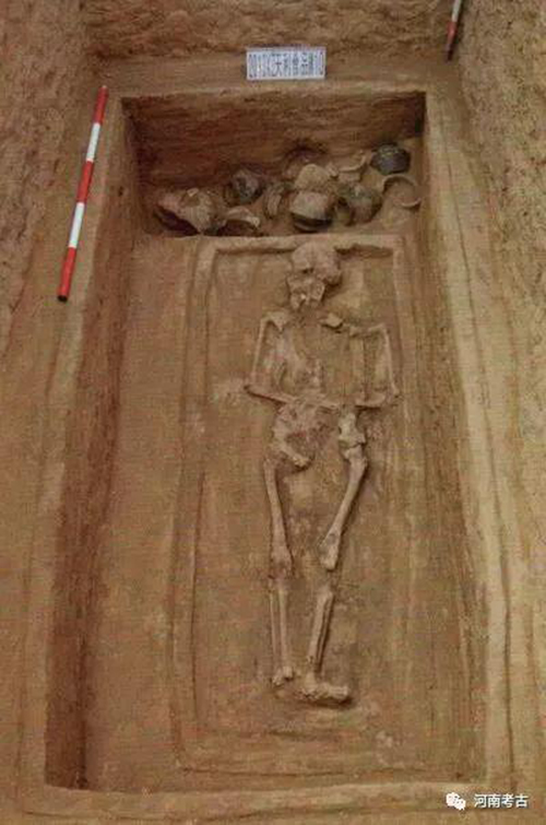 1541667158451360.jpg ͼƬ4.jpg