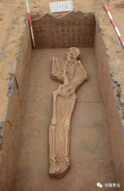 1541667205115411.jpg ͼƬ6.jpg