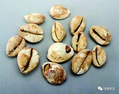 1541667623979876.jpg ͼƬ11.jpg