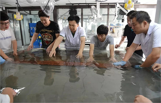 1567045857112863.jpg 640.jpg