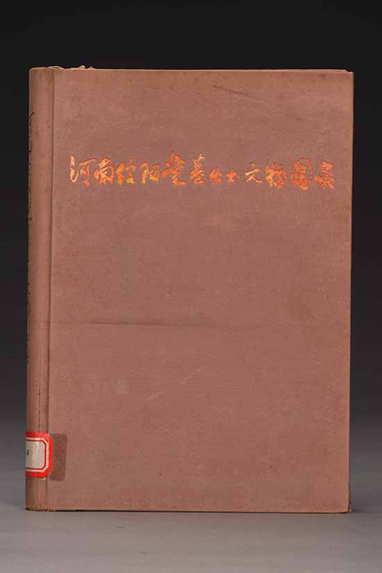 1567046398444991.jpg DSE_4452.JPG