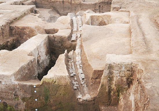 1587872381919976.jpg 07-