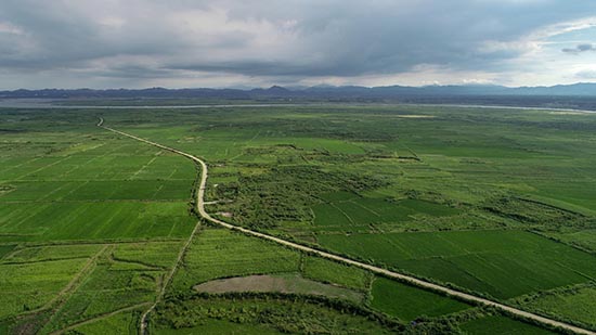 1609982276942396.jpg 1.jpg