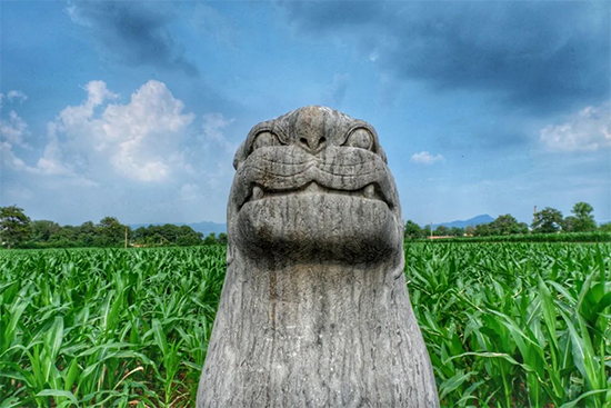 �½� DOC �ĵ�267.png