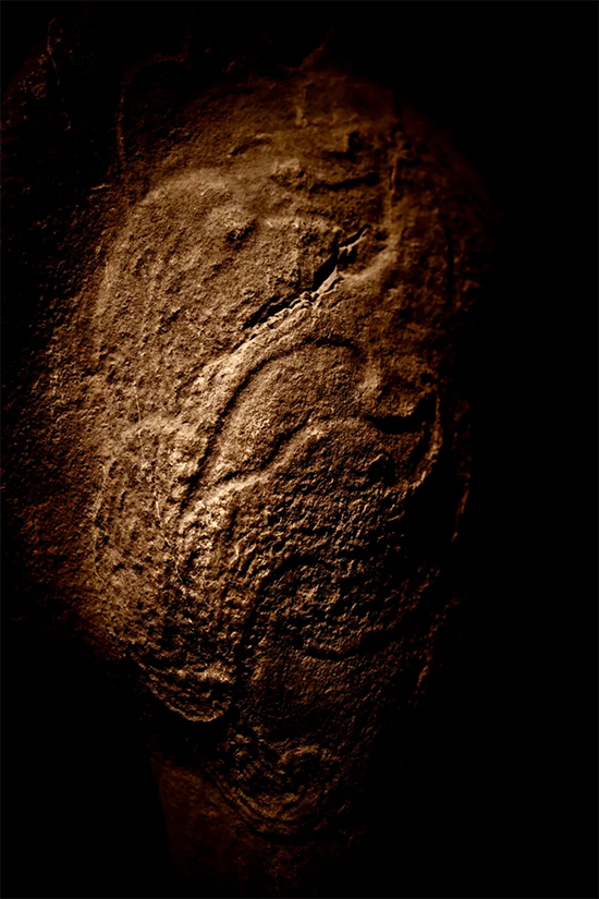 �½� DOC �ĵ�1359.png