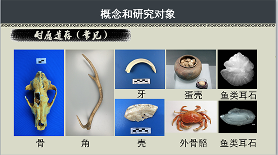 �½� DOCX �ĵ�563.png