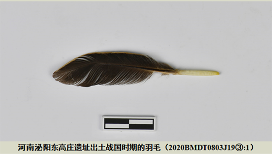 �½� DOCX �ĵ�677.png