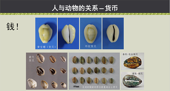 �½� DOCX �ĵ�2574.png