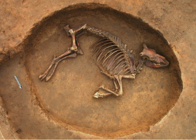 �½� DOC �ĵ�245.png