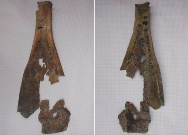 �½� DOC �ĵ�264.png