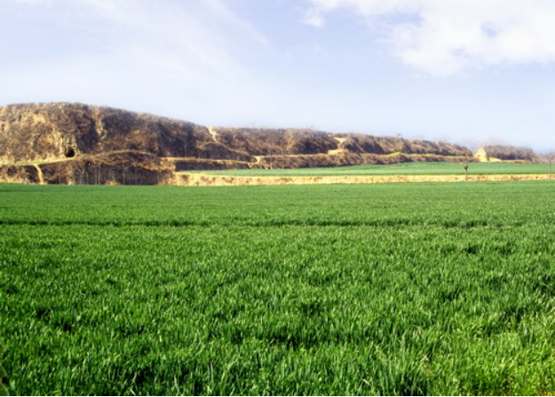 1642148414858527.png 文字文稿128.png